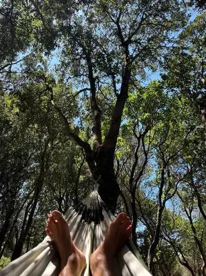 a person laying in a hammock under a tree at CasaCanetto villa, suites et piscine chauffée in Bonifacio