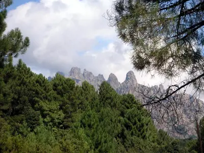 a mountain range with trees and clouds in the sky at Casa Erbaggio in Sartène