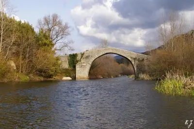 a bridge over a river with trees and water at Casa Erbaggio in Sartène