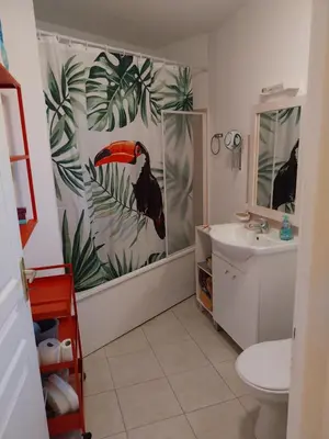 a bathroom with a penguin shower curtain and a sink at Les villas de Mélody in Santa-Maria-Poggio