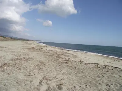 a beach with footprints in the sand and the ocean at mer et campagne in Cervione