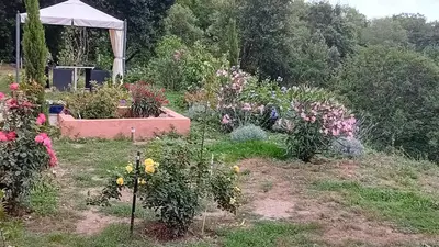 a garden with many different types of flowers at mer et campagne in Cervione