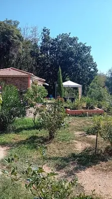 a garden with a gazebo and some bushes at mer et campagne in Cervione