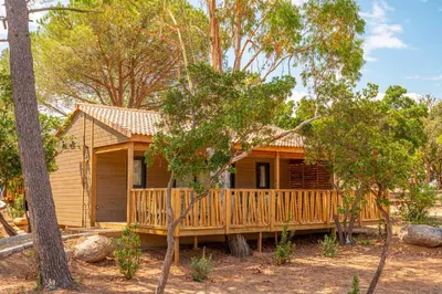 a wooden house with a deck in the woods at Camping California in Pinarellu