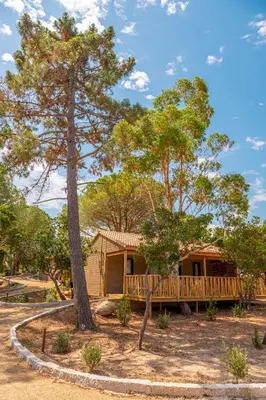 a house with a deck and a tree at Camping California in Pinarellu