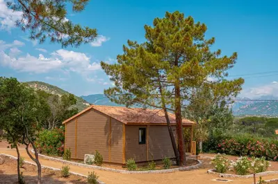 a small house in a garden with a tree at Camping California in Pinarellu