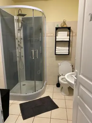 a bathroom with a shower and a toilet at Agréable rez de jardin avec Piscine et Jacuzzi in Cervione