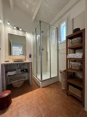a bathroom with a shower and a sink and a mirror at Le Golfe d'Ajaccio - à 7 minutes de la plage in Grosseto-Prugna