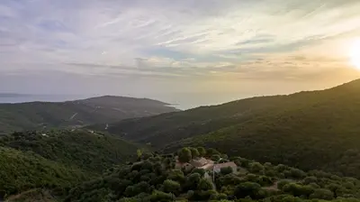 a house on top of a hill with trees at Villa Kallisté piscine chauffée in Serra-di-Ferro