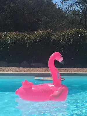 a pink flamingo float in a swimming pool at Mini villa proche des plus belles plages in Porto-Vecchio