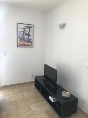 a living room with a black table and a picture on the wall at Mini villa proche des plus belles plages in Porto-Vecchio