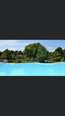 a large blue swimming pool with trees in the background at Résidence Fiori di Cala Rossa in Lecci