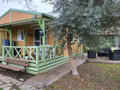 a green house with a porch and a tree at Chalet climatisé avec patio en Haute Corse 5 couchages in Camp du Cap Sud