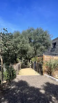 a garden with trees and a wooden fence at N9 Maison T2 climatisé in Ajaccio