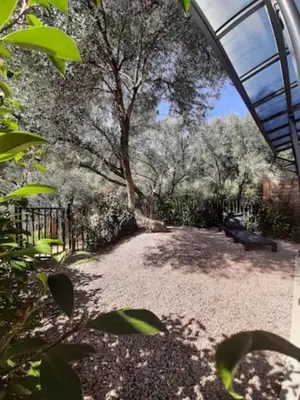a garden with a tree and a fence at N9 Maison T2 climatisé in Ajaccio