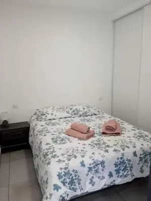 a bed with two pink towels on top of it at N9 Maison T2 climatisé in Ajaccio