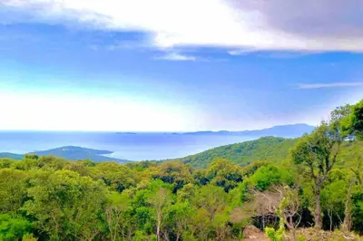 a view of a forest with mountains in the background at Casa Altura in Coti-Chiavari