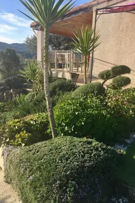 a garden with a palm tree and some bushes at LE PALADIN Porto Pollo Villa privée avec piscine chauffée in Serra-di-Ferro