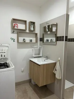a bathroom with a sink and a washing machine at Mini Villa vue mer in Sari Solenzara