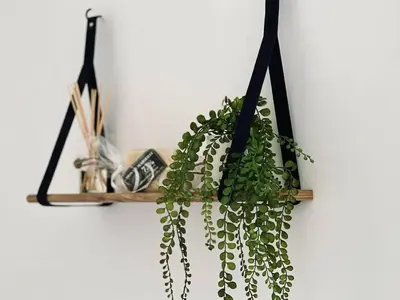 a plant hanging on a wall at T2 avec balcon au coeur de Ajaccio - Clim & Wifi in Ajaccio