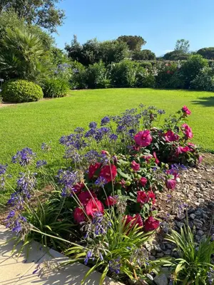a garden with colorful flowers in a yard at Appartement bord de mer avec piscine privee Porticcio in Porticcio