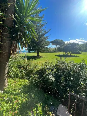 a field with a palm tree and some bushes at Studio pied dans l'eau - WIFI- Piscine in Santa-Lucia-di-Moriani