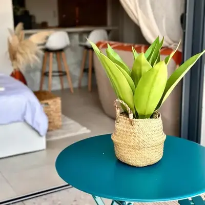 Appartement Agosta Plage