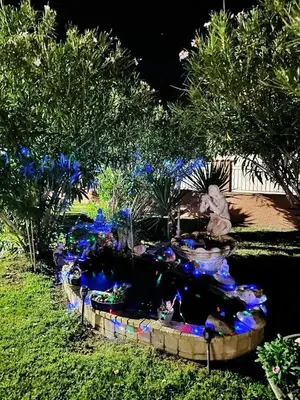 a garden with blue flowers and a statue in the grass at HAUT VILLA MESANGES EN BORD DE MER ! in Lucciana