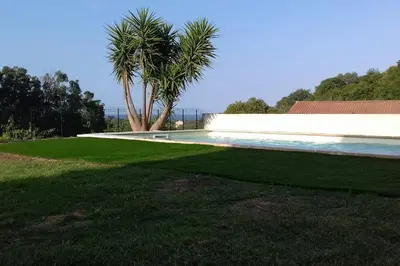 a palm tree sitting next to a swimming pool at bas de villa de 90m² entre mer (2km) et montagne in Talasani