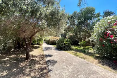 a path in a garden with trees and flowers at Maison de maitre au charme d'antan Bonifacio in Bonifacio