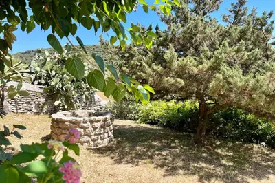 a tree in a garden with a stone wall at Maison de maitre au charme d'antan Bonifacio in Bonifacio