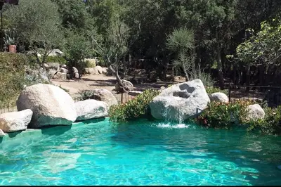 a pool of water with rocks in a garden at Villa con piscina tra Porto vecchio e Bonifacio in Figari