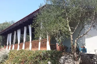 a house on top of a hill with a tree at Villa con piscina tra Porto vecchio e Bonifacio in Figari