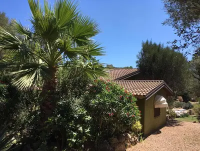 a palm tree in front of a house with bushes at Villa con piscina tra Porto vecchio e Bonifacio in Figari