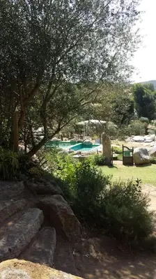 a swimming pool in a park with trees and rocks at Villa con piscina tra Porto vecchio e Bonifacio in Figari