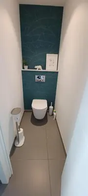 a bathroom with a toilet and a green wall at NEPITA- Vue mer- piscine en résidence de standing- clim-Wifi in Sari Solenzara