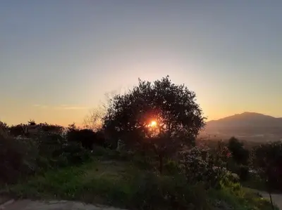 a sun setting behind a tree on a hill at Le nid d'Aigle - proche Ajaccio in Cuttoli-Corticchiato