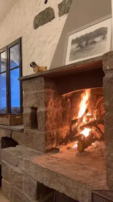 a fireplace with a dog sitting on top of it at Auberge U Mulinu in Casalabriva