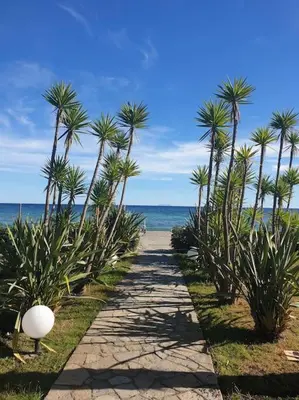 a path with palm trees on the beach at Appt dans résidence avec piscines et plage privées in San-Nicolao
