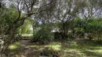 a garden with trees and flowers in the grass at Les bergeries d'Ogliastrello in Figari