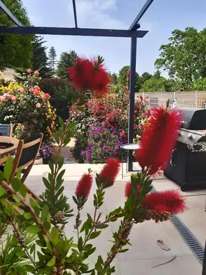 a garden of flowers with red flowers at Amon nos Ôtes in Vezzani