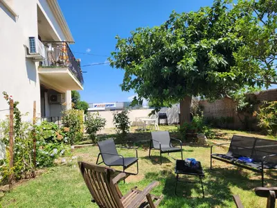 a group of chairs and a tree in a yard at A CASA DI LOULOU e MARIA in Furiani