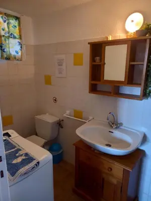 a bathroom with a sink and a toilet at appartement climatisé 35 m2 pour 1 couple - piscine partagée - in Porto-Vecchio