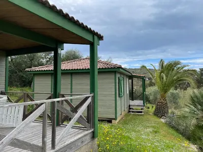 a green house with a porch and a deck at Lavallee in Campomoro