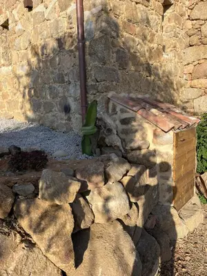 a plant sitting on top of a stone wall at Maison typique Corse écologique in Coti-Chiavari