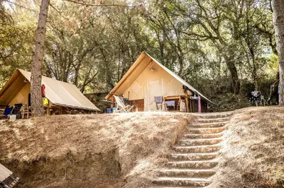 a tent in the woods with a table and chairs at Camping Olva *** in Sartène