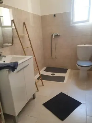 a bathroom with a shower and a toilet and a sink at Studio mitoyen à la campagne vue sur la mer in Cargèse