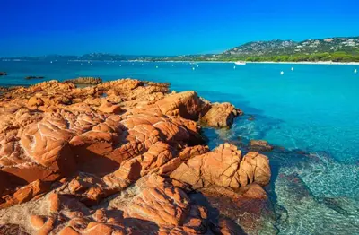a tree on a rocky beach with the sun in the sky at VILLA LE CORAIL ROUGE CORSE in Lecci