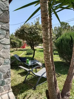 a table and a chair next to a palm tree at SANTA-LUCIA in Santa-Lucia-di-Moriani