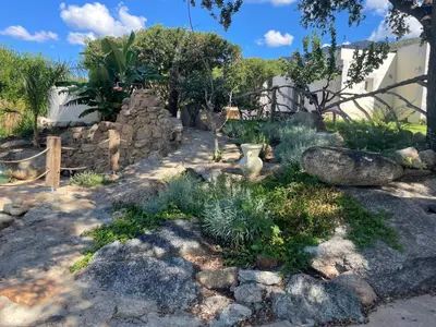 a garden with rocks and plants in a yard at Villa A Volta in Urtaca